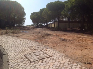 Terreno para Venda em Almancil