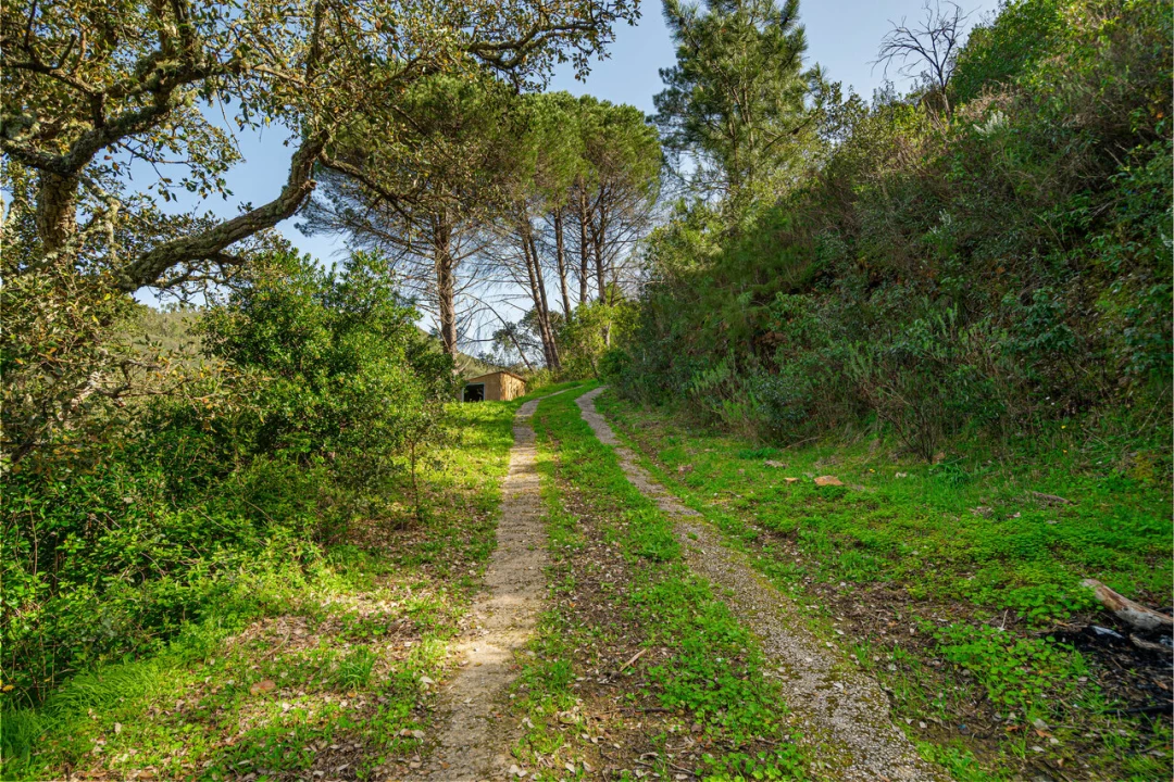 Quinta T3 para Venda em Monchique Foto 29