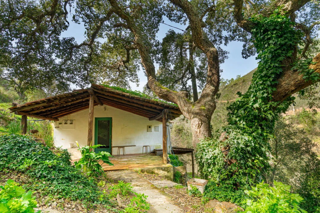 Quinta T3 para Venda em Monchique Foto 1