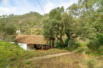 Quinta T3 para Venda em Monchique