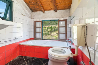 Quinta T3 para Venda em Monchique
