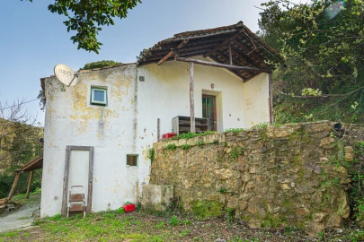 Quinta T3 para Venda em Monchique