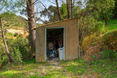 Quinta T3 para Venda em Monchique