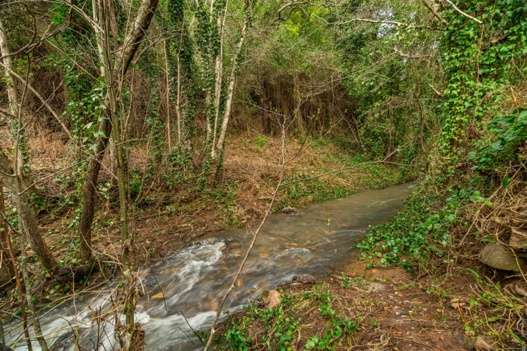 Quinta T3 para Venda em Monchique Foto 5
