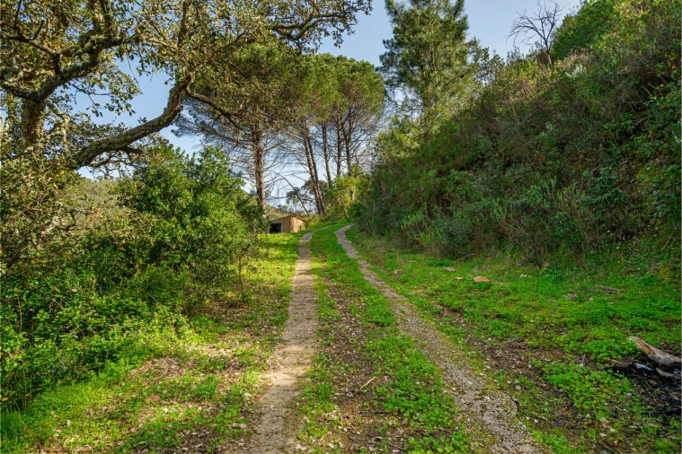 Quinta T3 para Venda em Monchique Foto 29