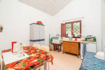 Quinta T0 para Venda em Monchique