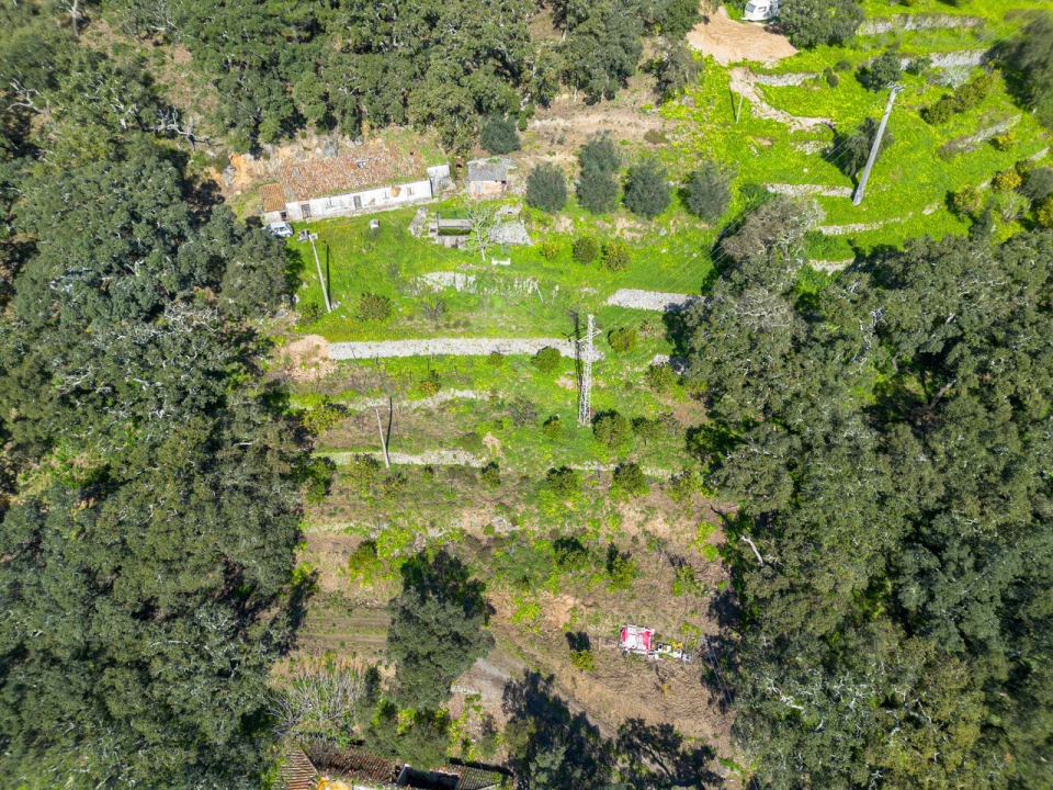 Quinta T0 para Venda em Marmelete Foto 19