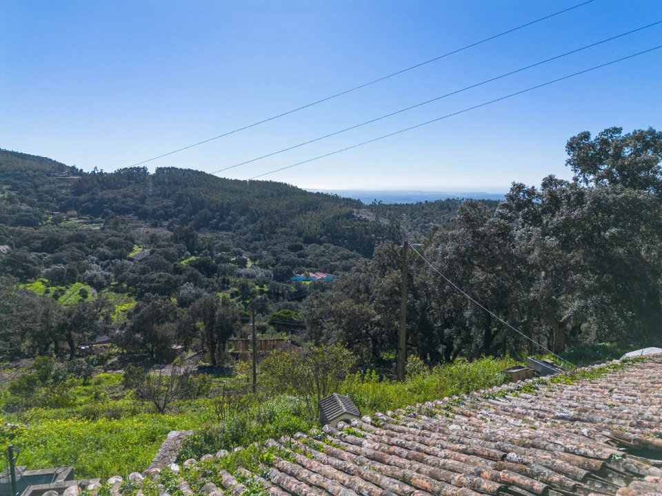 Quinta T0 para Venda em Marmelete Foto 1