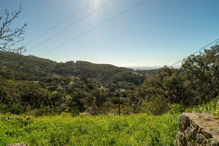 Quinta T0 para Venda em Marmelete Foto 18