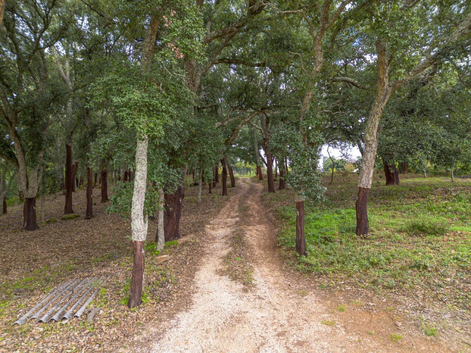 Quinta T0 para Venda em Monchique Foto 13