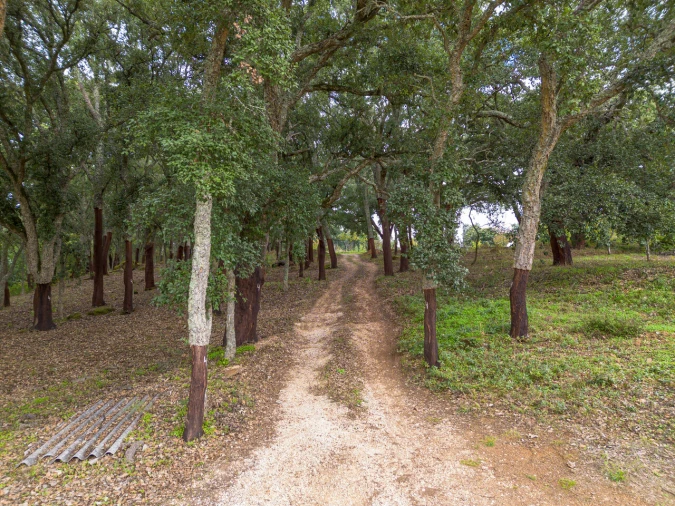 Quinta T0 para Venda em Monchique Foto 13