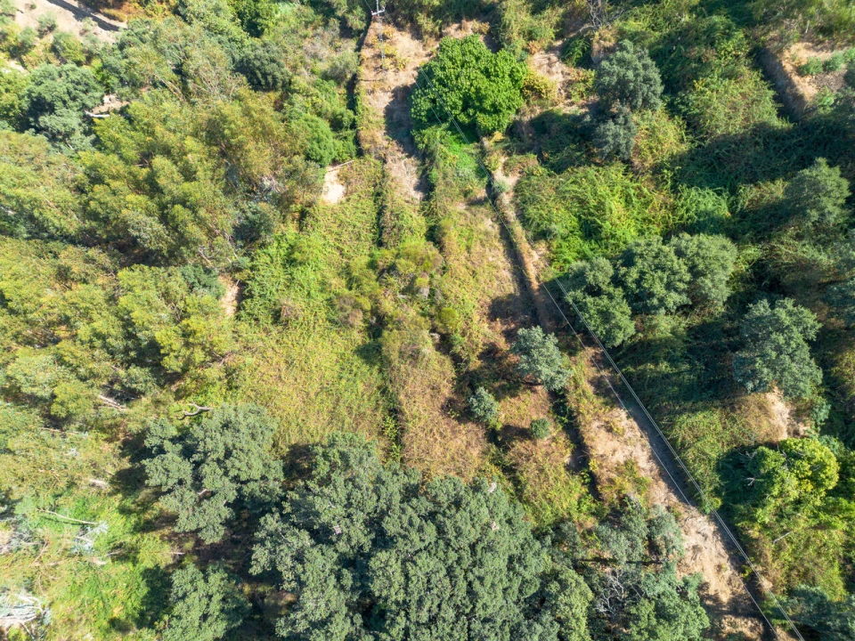 Quinta T0 para Venda em Monchique Foto 10