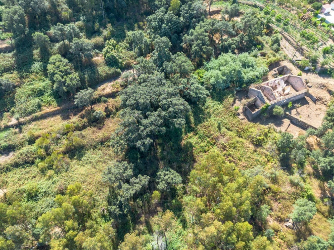 Quinta T0 para Venda em Monchique Foto 13