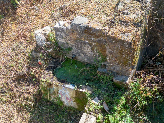 Quinta T0 para Venda em Monchique Foto 14