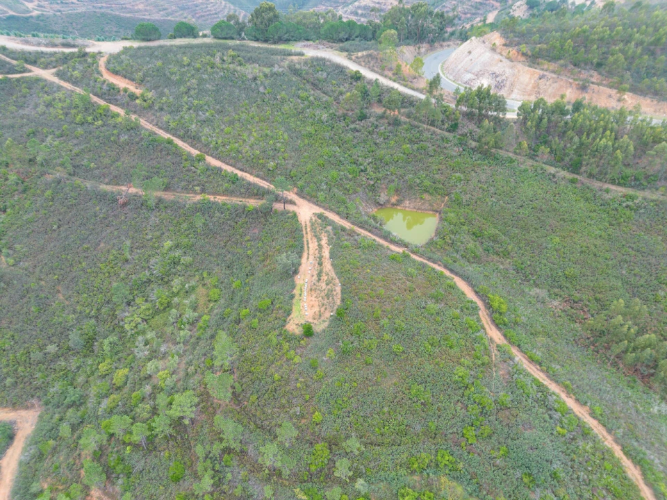 Quinta T0 para Venda em Monchique Foto 9