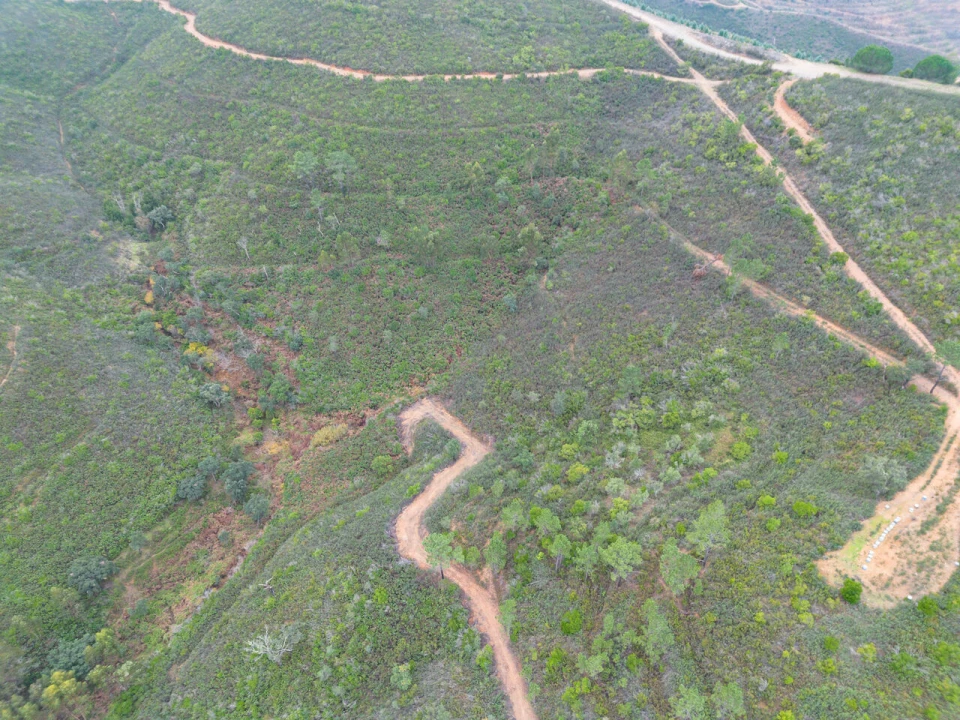 Quinta T0 para Venda em Monchique Foto 15