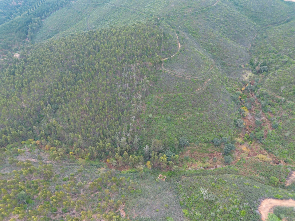 Quinta T0 para Venda em Monchique Foto 16