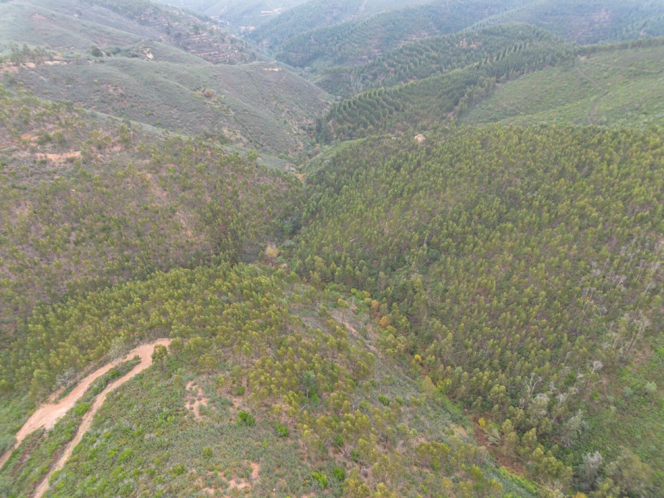 Quinta T0 para Venda em Monchique Foto 17