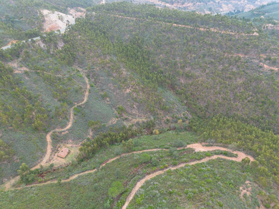 Quinta T0 para Venda em Monchique Foto 18