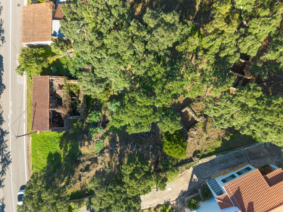 Moradia T0 para Venda em Monchique Foto 24