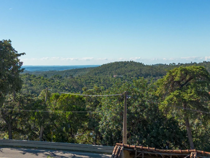 Moradia T0 para Venda em Monchique Foto 13