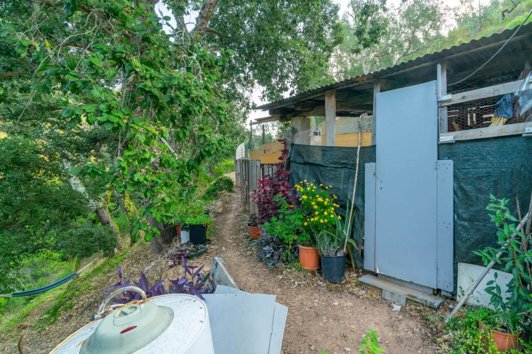 Quinta T2 para Venda em Monchique Foto 20