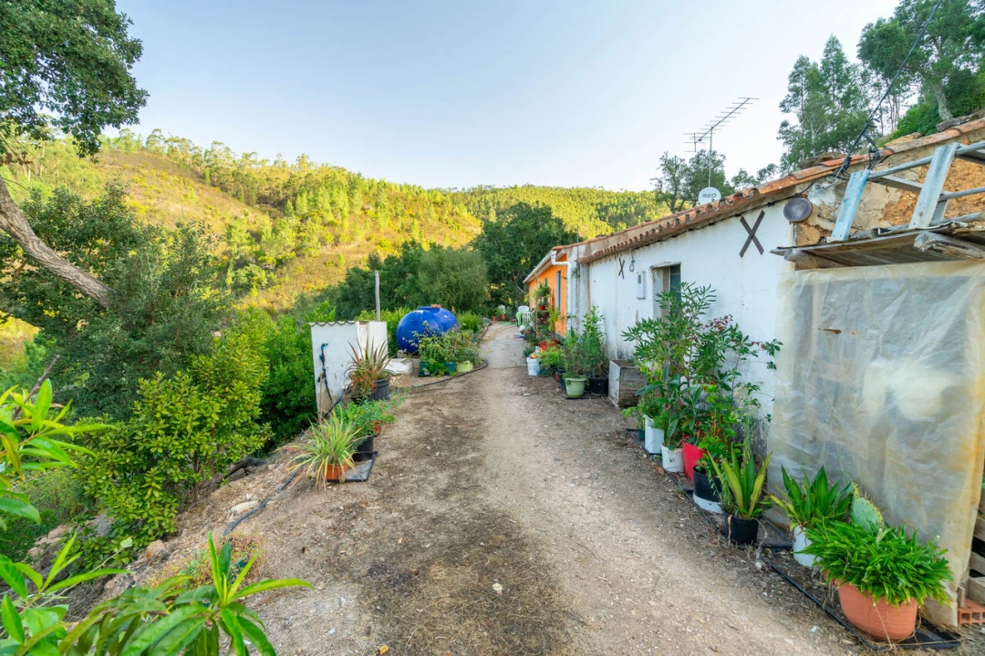 Quinta T2 para Venda em Monchique Foto 21