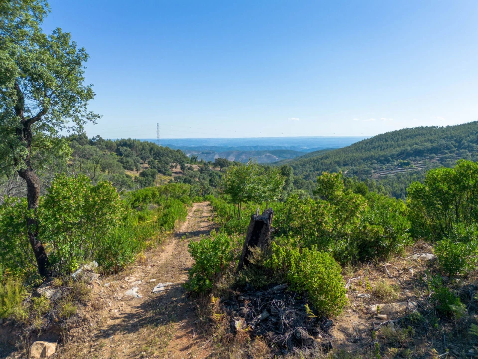 Quinta T0 para Venda em Monchique Foto 27