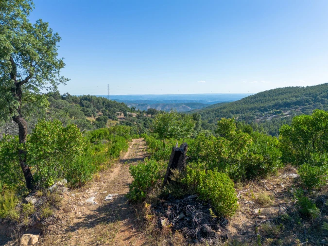 Quinta T0 para Venda em Monchique Foto 27