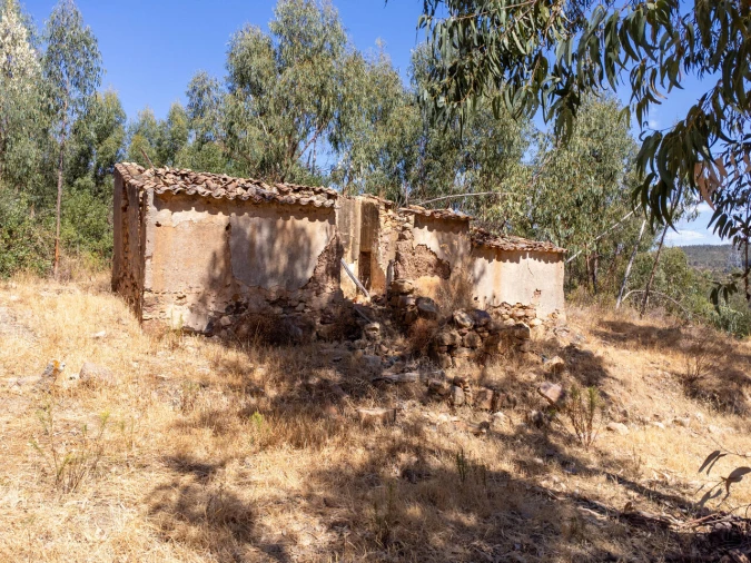 Quinta T0 para Venda em Monchique Foto 10