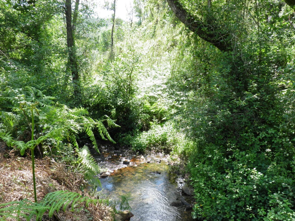 Quinta T0 para Venda em Monchique Foto 6