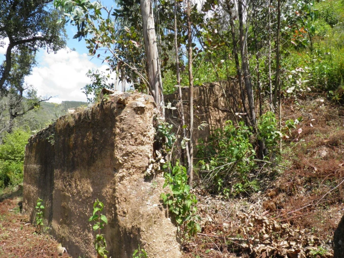 Quinta T0 para Venda em Monchique Foto 3