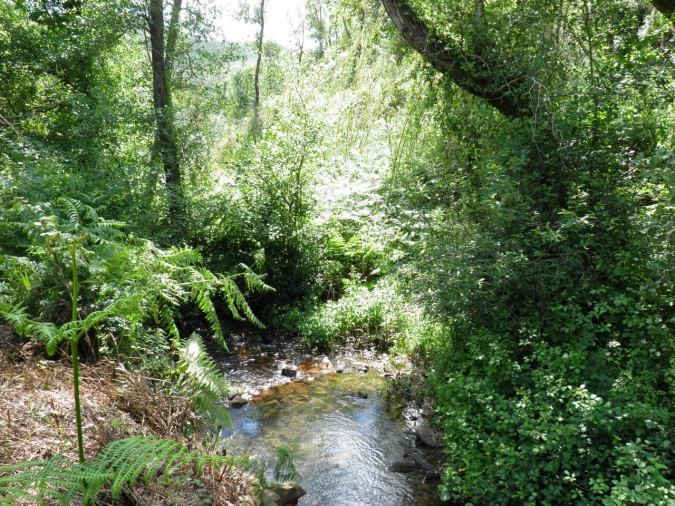 Quinta T0 para Venda em Monchique Foto 6