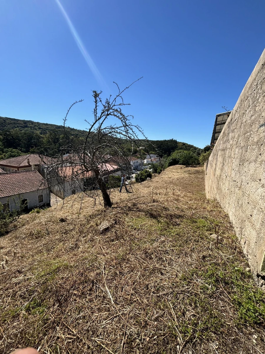 Terreno para Venda em Monchique Foto 5