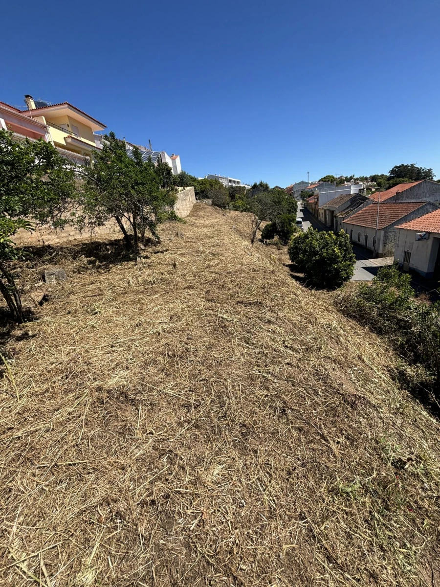 Terreno para Venda em Monchique Foto 3