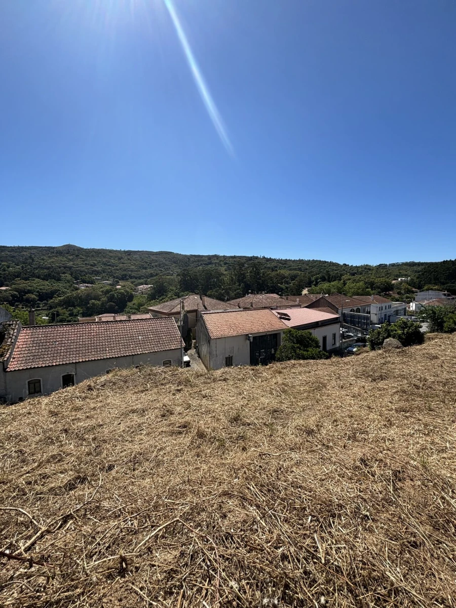 Terreno para Venda em Monchique Foto 4