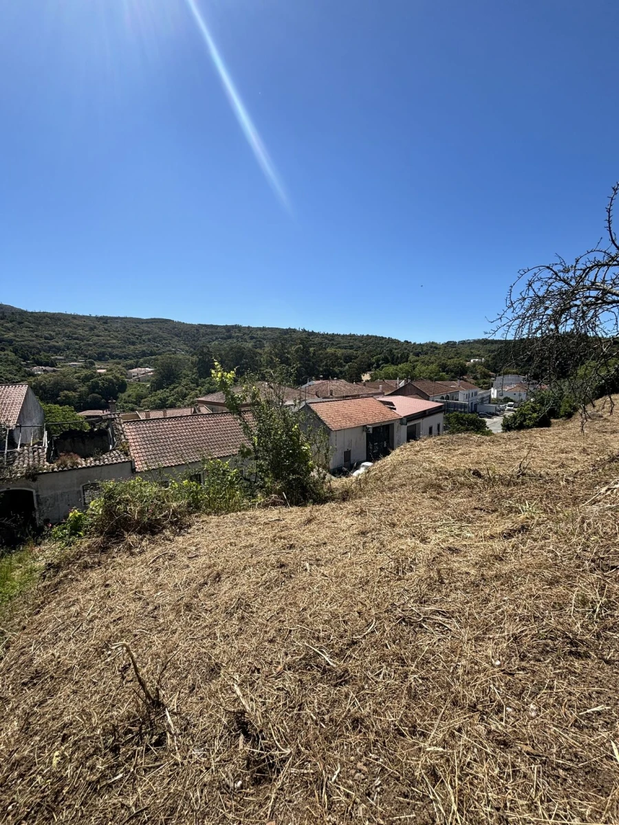 Terreno para Venda em Monchique Foto 6