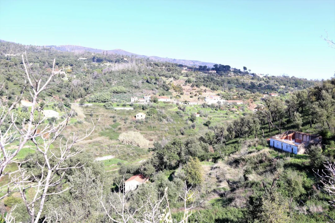 Quinta T0 para Venda em Monchique Foto 4