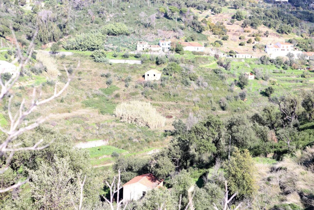 Quinta T0 para Venda em Monchique Foto 5