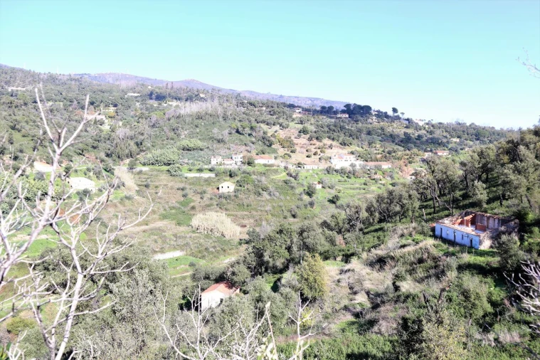 Quinta T0 para Venda em Monchique Foto 4