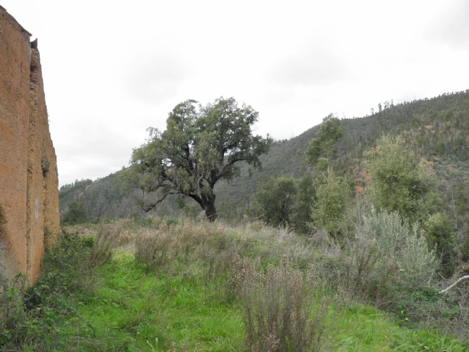 Quinta T0 para Venda em Monchique Foto 6