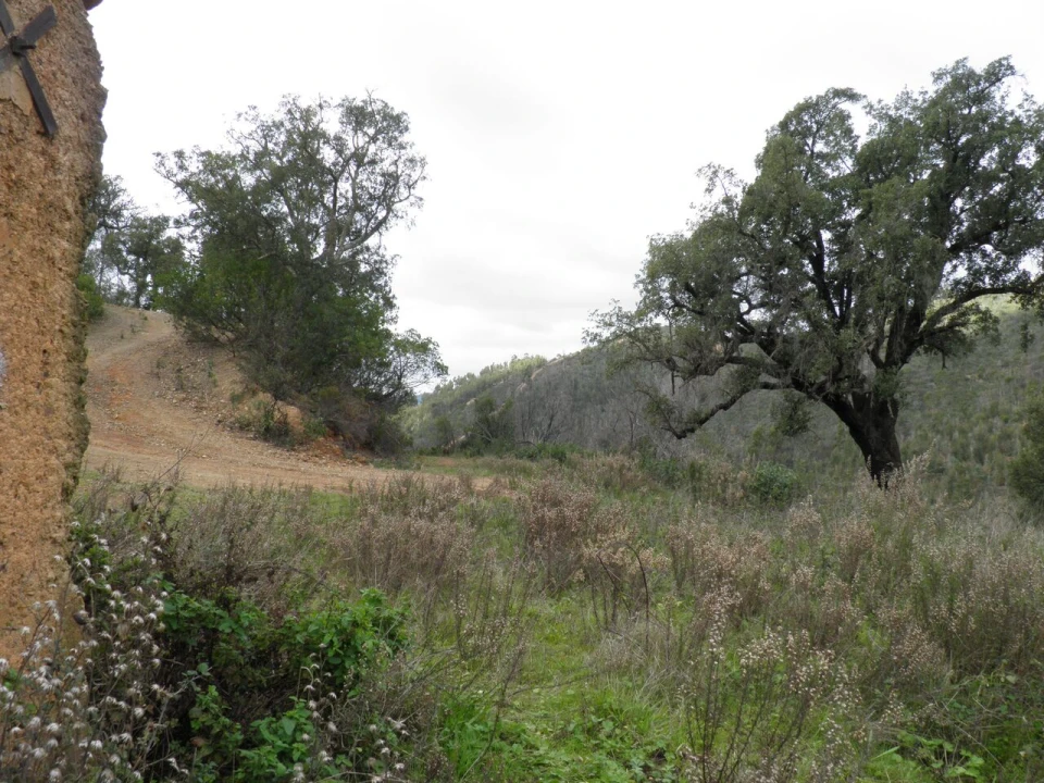 Quinta T0 para Venda em Monchique Foto 8