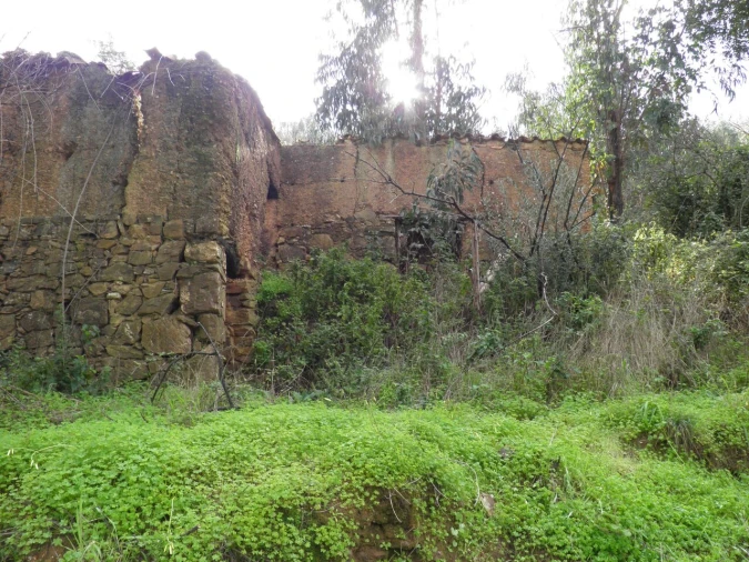 Quinta T0 para Venda em Monchique Foto 2