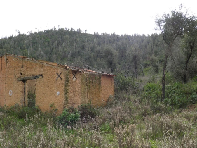 Quinta T0 para Venda em Monchique Foto 5