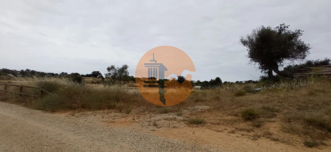 Negócio para Venda em Guia Foto 24