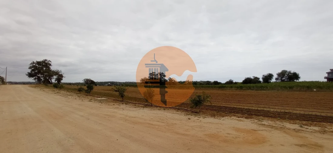 Negócio para Venda em Guia Foto 25