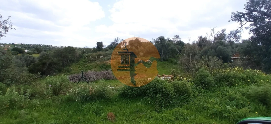 Quinta T40 para Venda em Guia Foto 29