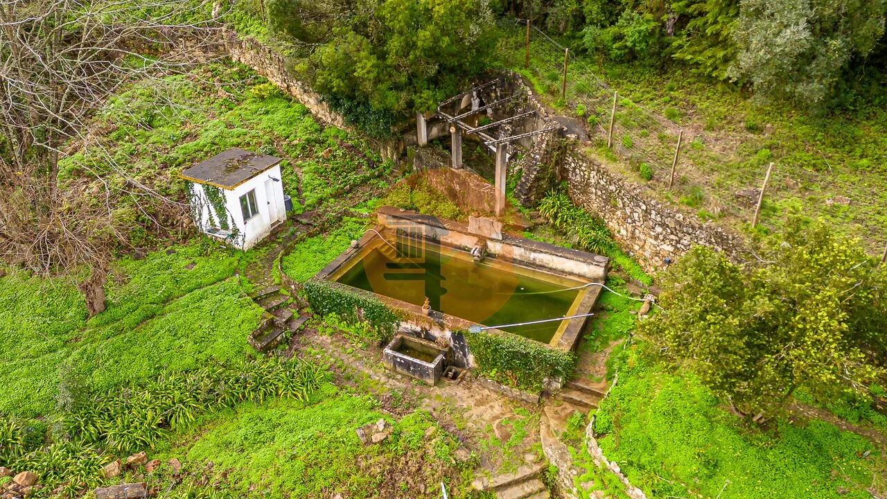Quinta T1 para Venda em Arruda dos Vinhos Foto 28