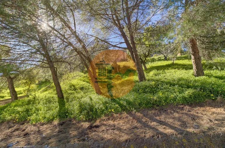 Apartamento T2 para Venda em Castro Marim Foto 44