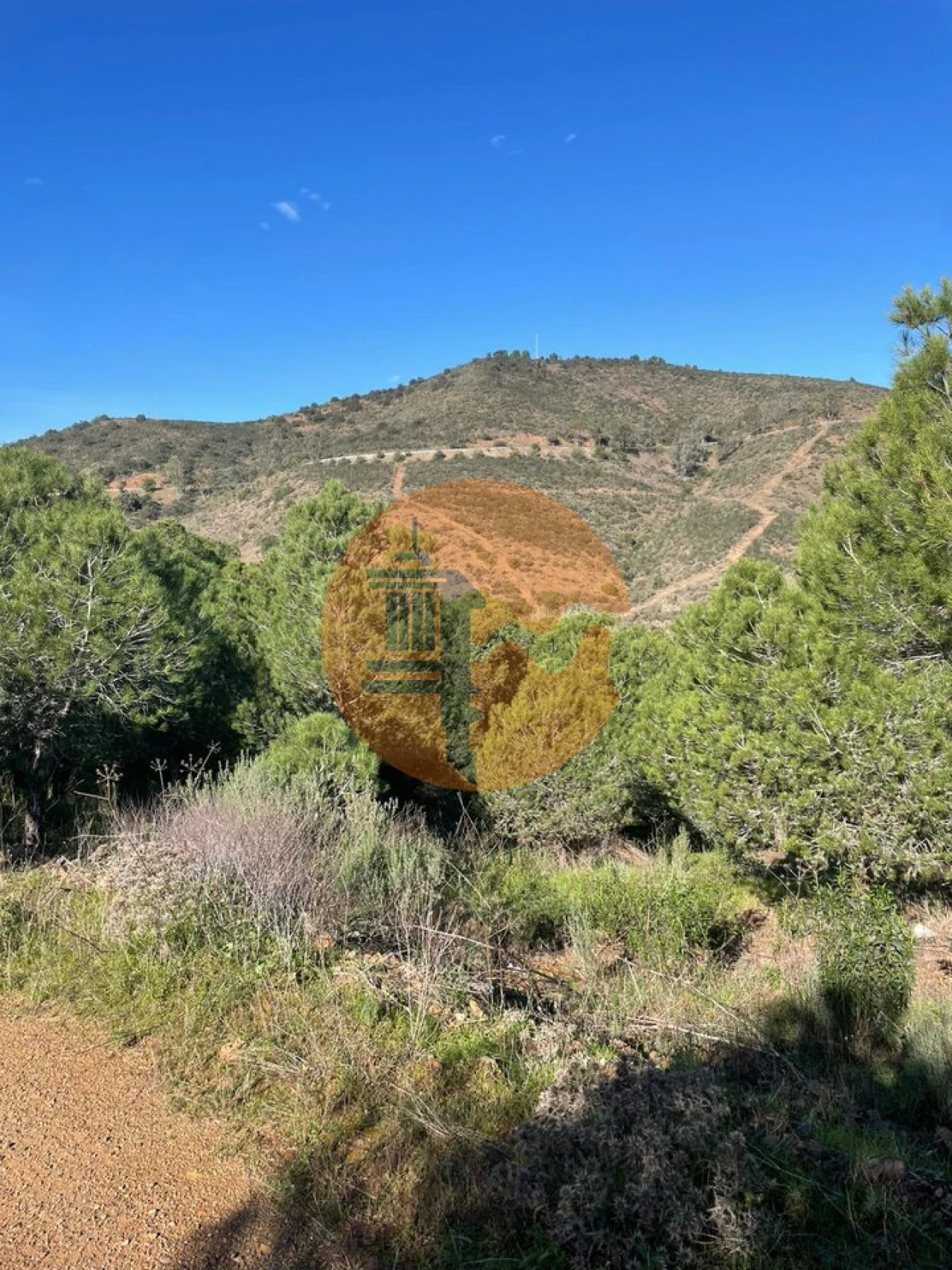 Terreno para Venda em Odeleite Foto 6